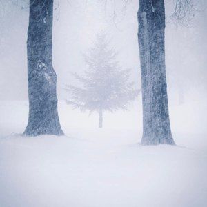 Meet your Posher, Carter